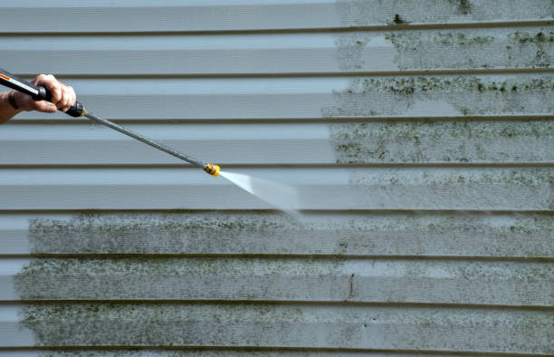 Best Solar Panel Cleaning  in Campbell, OH